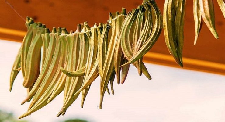 الباميا الناشفة أو الويكا اكلتي النفضلة التي لا يمحوها زحام الأحداث والأشخاص