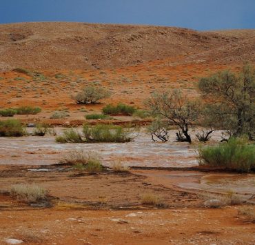 عبد الباسط عبد الصمد