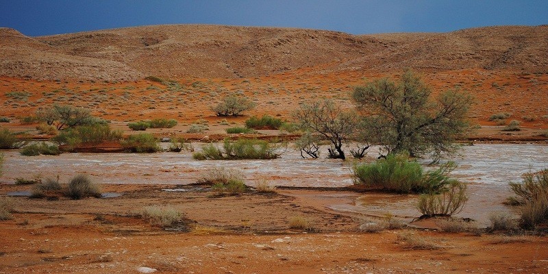 قصة الصحراء الغربية .. الجزء الأعظم في الأراضي المصرية الصحراء الغربية