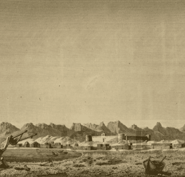 عن شعري الذي يتساقط شعري