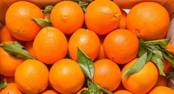 البرتقال