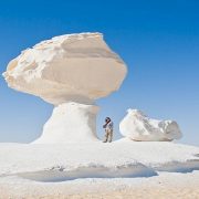 الهاتف لا يرسل الرسائل