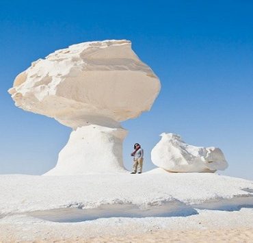 الهاتف لا يرسل الرسائل