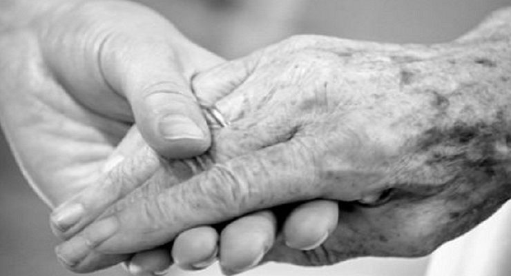 السبانخ التي جعلتني أصدق أن جدتي رحلت