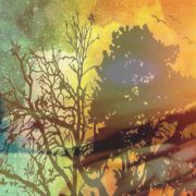 أذكار الصباح والمساء