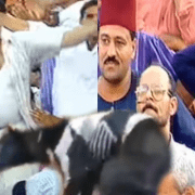 الأصالة في السفالة