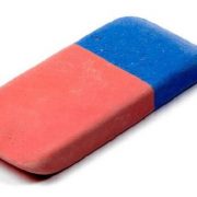 الحمام الزاجل