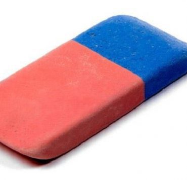 الحمام الزاجل