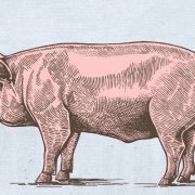 ألبرتو مورافيا