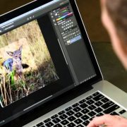 بخطوات بسيطة للغاية ... تعرف على كيفية تغيير لون الخلفية في فوتوشوب