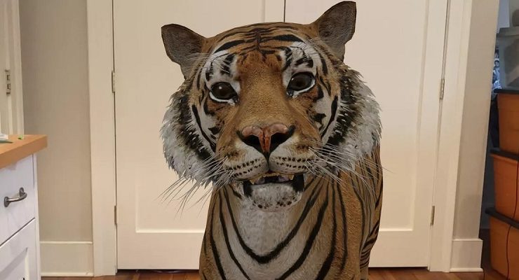 خاصية جوجل 3D Animals ... ما هي وكيفية استخدامها والتقاط الصور والفيديو بها