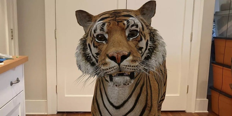 خاصية جوجل 3D Animals … ما هي وكيفية استخدامها والتقاط الصور والفيديو بها خاصية جوجل 3D Animals ... ما هي وكيفية استخدامها والتقاط الصور والفيديو بها