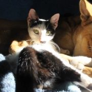 كيفية حذف نفسك من الانترنت