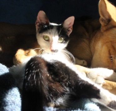 كيفية حذف نفسك من الانترنت