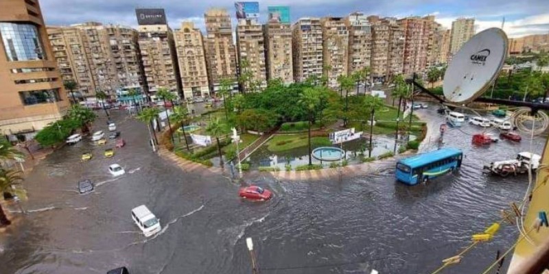 السيد محافظ الأسكندرية .. القبض على الكلاب لم ينقذ المدينة من الغرق محافظ الأسكندرية