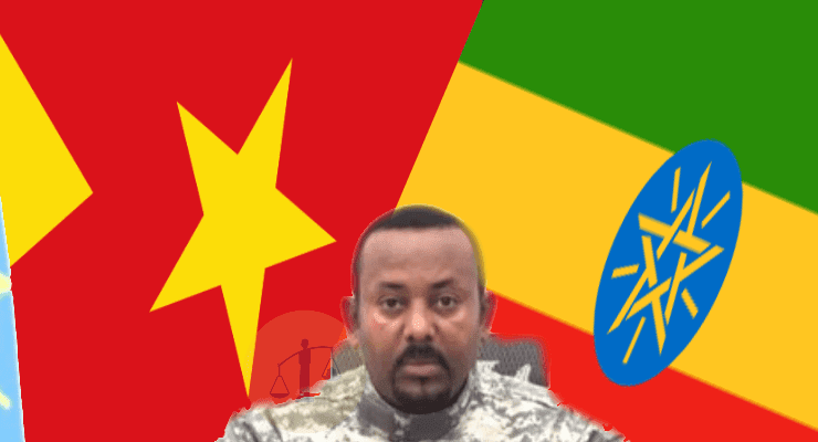 إقليم تيجراي