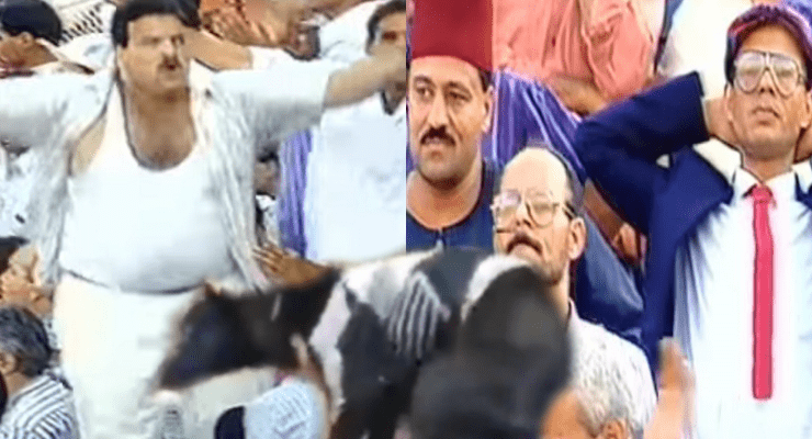 الأصالة في السفالة