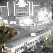 أول وزير كهرباء في مصر