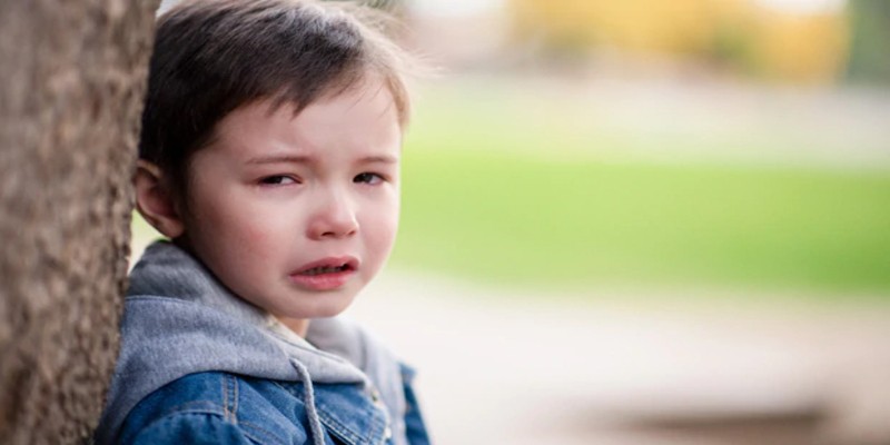 المخبولون في الأرض