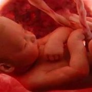 خلق الإنسان