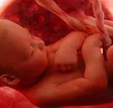 خلق الإنسان