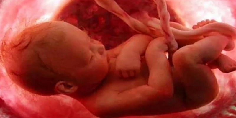 خلق الإنسان