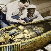 عباس أبو الحسن