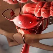 لما حصل الزلزال قلنا إن فيه زلزال