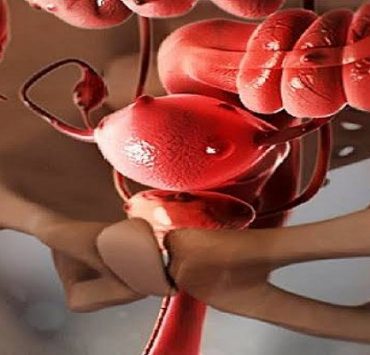 خطوات أهم من التفاوض مع اللصوص .. لو سيارتك اتسرقت تعمل ايه؟ التفاوض