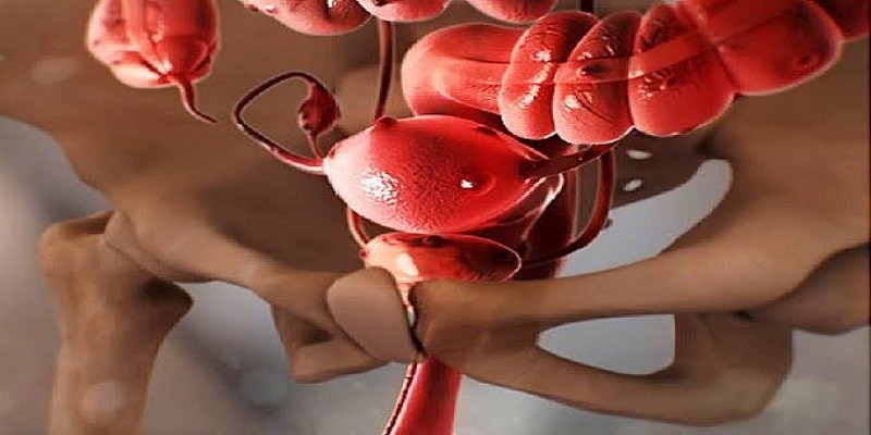 الدورة الشهرية