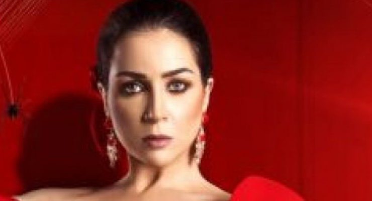 خيط حرير حمدالله على السلامة مي عز الدين وسليمان عبد الملك وصفة النجاح