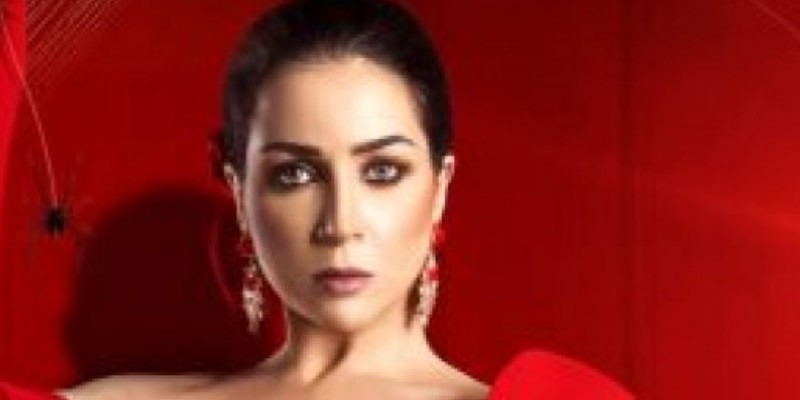 خيط حرير حمدالله على السلامة مي عز الدين وسليمان عبد الملك وصفة النجاح