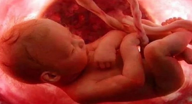 خلق الإنسان