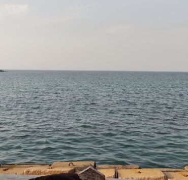 مصافحة المصلين لبعضهم