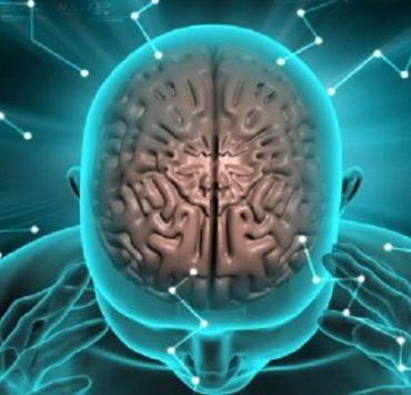 زمن الفن اللعين المخ