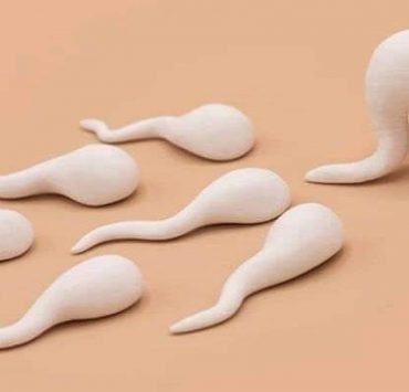 تاريخ السياحة في مصر ” لماذا كان عهد الخديوي إسماعيل فارقًا فيه ؟” المني