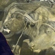 نشر المقالات في لينكد ان