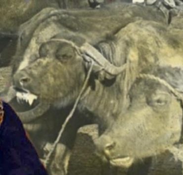 نشر المقالات في لينكد ان