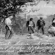 الدولفين بيتر