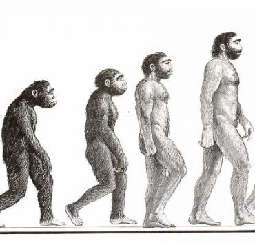 قراءة تحليلية لـ كتاب الحق المبين في الرد على من تلاعب بالدين (9) الرد على نظرية دار الكفر نظرية التطور