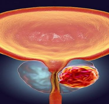 حركة للمقاومة المصرية