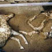 مريم في القرآن