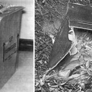 المستشار طارق البشري