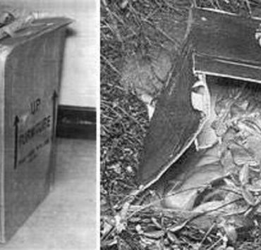 توصيل كمبيوتر ماك بالتليفزيون