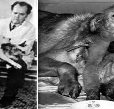 لماذا رفض علي عزت بيجوفيتش الأحزاب الإسلامية في بناء الدولة الحديثة؟ علي عزت بيجوفيتش