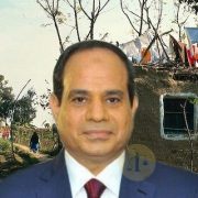 المشروع القومي لتطوير الريف