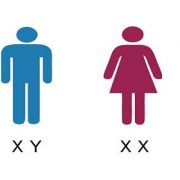 مشرحة حلوان المهجورة