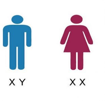 الفرق بين ايربودز الأصلية والمقلدة