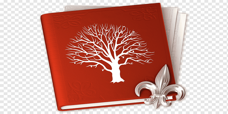 الطريقة باتت سهلة.. كيف يمكنك البحث عن شجرة العائلة بالرقم القومي؟ شجرة العائلة بالرقم القومي