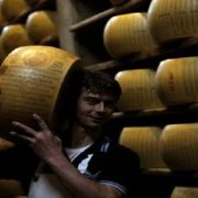 أقراص الجبن